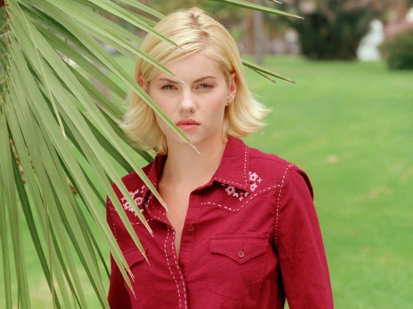 Elisha Cuthbert