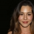 China Chow Fotoğrafı